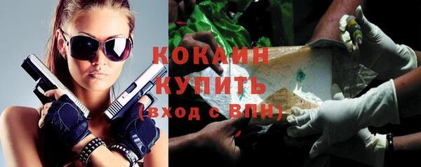 амф Верхний Тагил