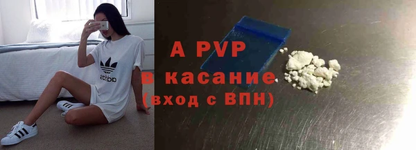 амф Верхний Тагил