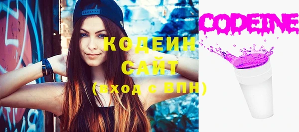 амф Верхний Тагил