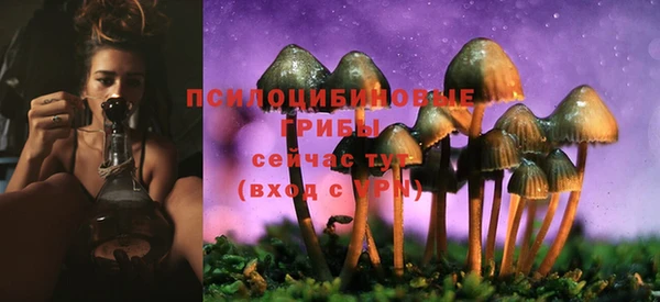 амф Верхний Тагил