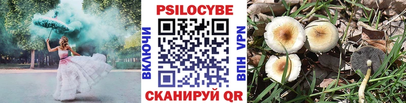 Галлюциногенные грибы Magic Shrooms  где купить наркотик  Ростов 