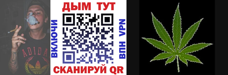 Бошки Шишки конопля магазин Ростов